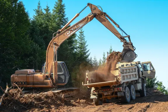 BingoCafe Casino Assistance